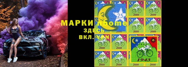 индика Арсеньев