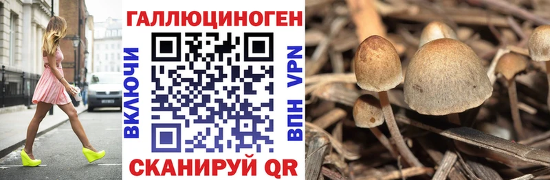 гидра ссылка  Урус-Мартан  Галлюциногенные грибы ЛСД 