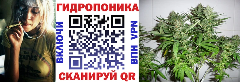 Шишки марихуана марихуана  Урус-Мартан 